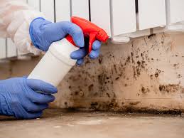 Reliable Mercer, PA Mold Inspection Solutions